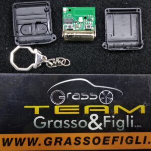 Telecomando Antifurto auto GT alarm gtalarm modello 2 Tasti Completo di Elettronica Pronto da Programmare LED GIALLO